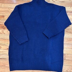 GAP Men's Navy Turtleneck Sweater